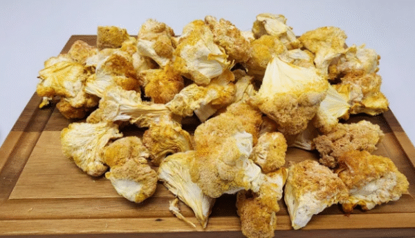 Lion's Mane Mushroom