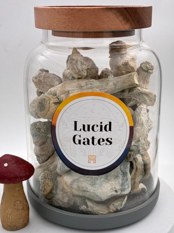 Lucid Gates Magic Mushrooms 🍄
